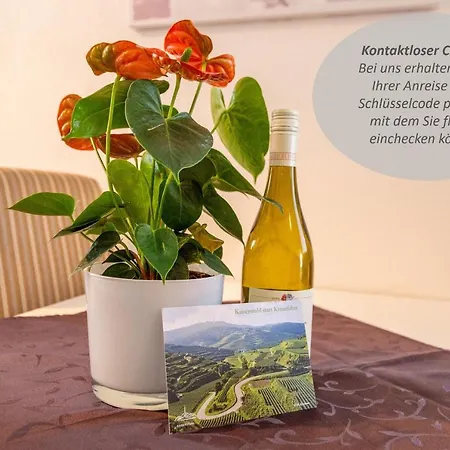 Gasthuis Braviscasa - Ferienresidenz Baerenhof 4*